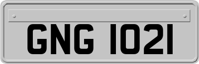 GNG1021