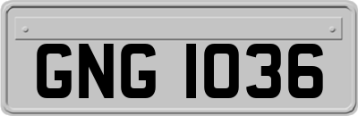 GNG1036