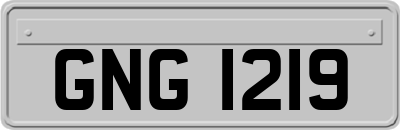 GNG1219