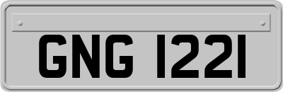 GNG1221