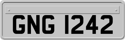 GNG1242