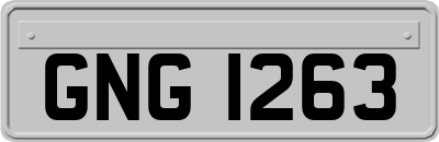 GNG1263