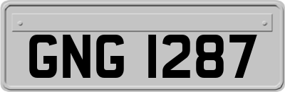 GNG1287