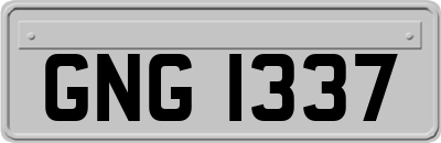 GNG1337