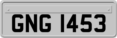 GNG1453