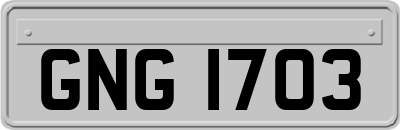 GNG1703