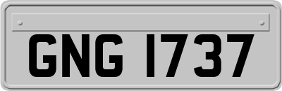 GNG1737