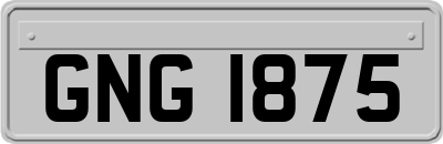 GNG1875