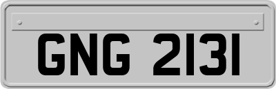 GNG2131