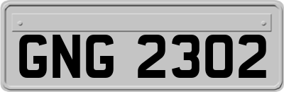 GNG2302