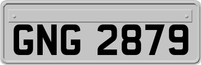 GNG2879