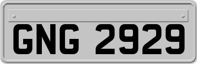 GNG2929