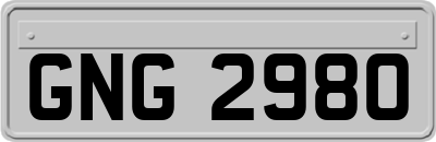 GNG2980
