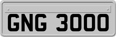 GNG3000