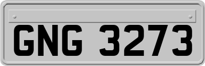GNG3273
