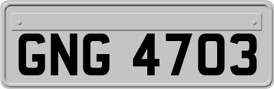 GNG4703