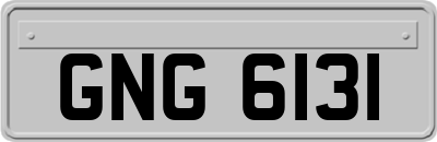 GNG6131