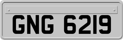 GNG6219