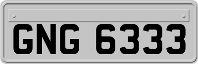 GNG6333