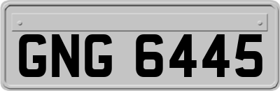 GNG6445