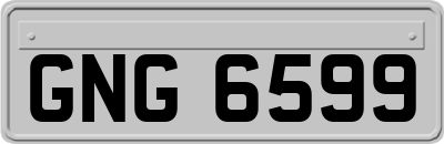 GNG6599