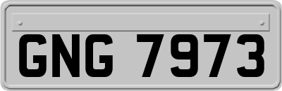 GNG7973