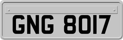 GNG8017