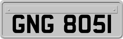GNG8051