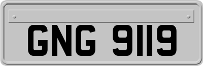GNG9119