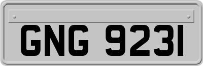 GNG9231