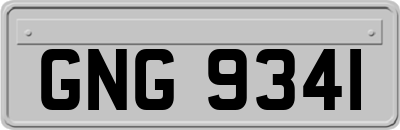 GNG9341