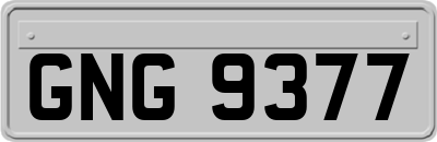 GNG9377
