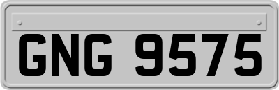GNG9575