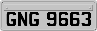 GNG9663