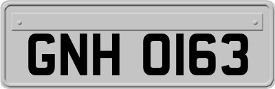 GNH0163