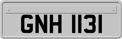 GNH1131