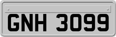 GNH3099