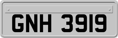 GNH3919