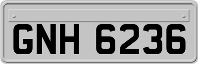 GNH6236