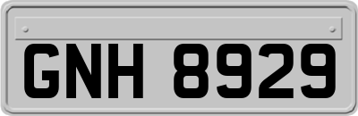 GNH8929
