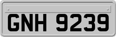 GNH9239