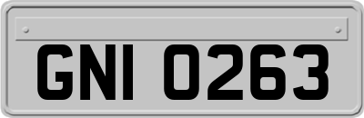 GNI0263