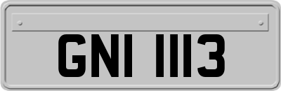 GNI1113