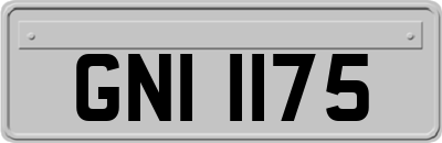 GNI1175