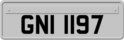 GNI1197