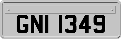GNI1349