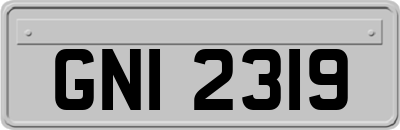 GNI2319