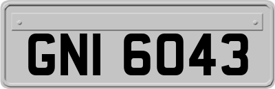 GNI6043