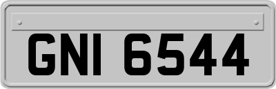 GNI6544