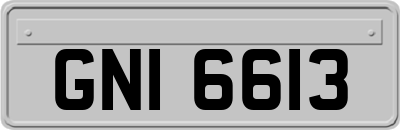 GNI6613